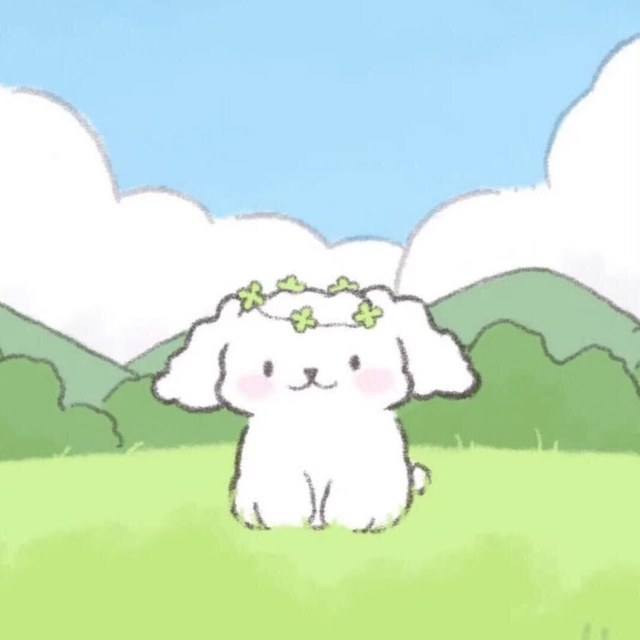 党菁洋的照片